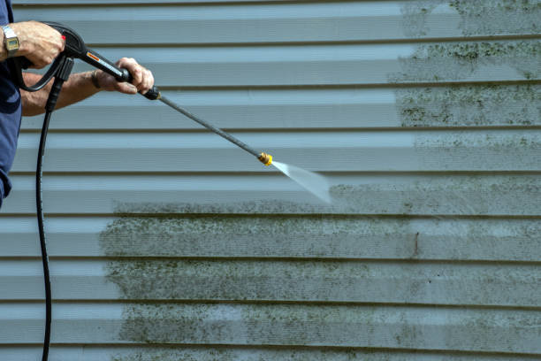 Best Sidewalk and Walkway Cleaning  in Martins Ferry, OH